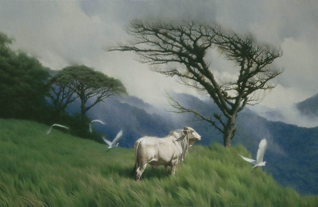 Into The Wind • 2006 • 26 x 40 • Oil on linen • Costa Rica • Available Tilting at Windmills Gallery