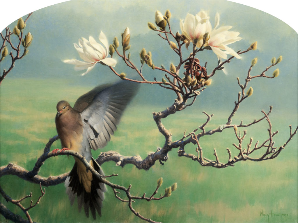 Spring to Life • 2008 • 18 x 24 • Oil on Linen • Mourning Dove and Star Magnolia • Available Tilting at Windmills Gallery