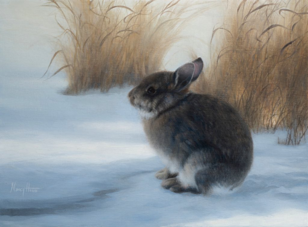 SOLD Quiet By Nature  • 2022 • 12 x 16  • oil on linen  •  Eastern Cottontail Rabbit